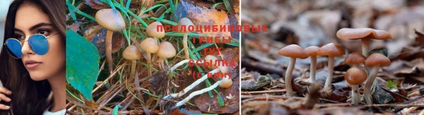 кокаин Абаза