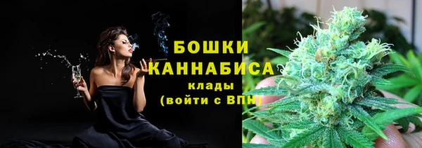 крисы Ельня
