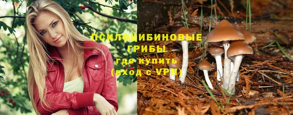spice Абдулино