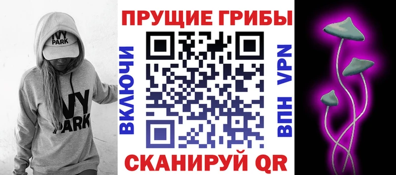 закладка  Игарка  Псилоцибиновые грибы ЛСД 